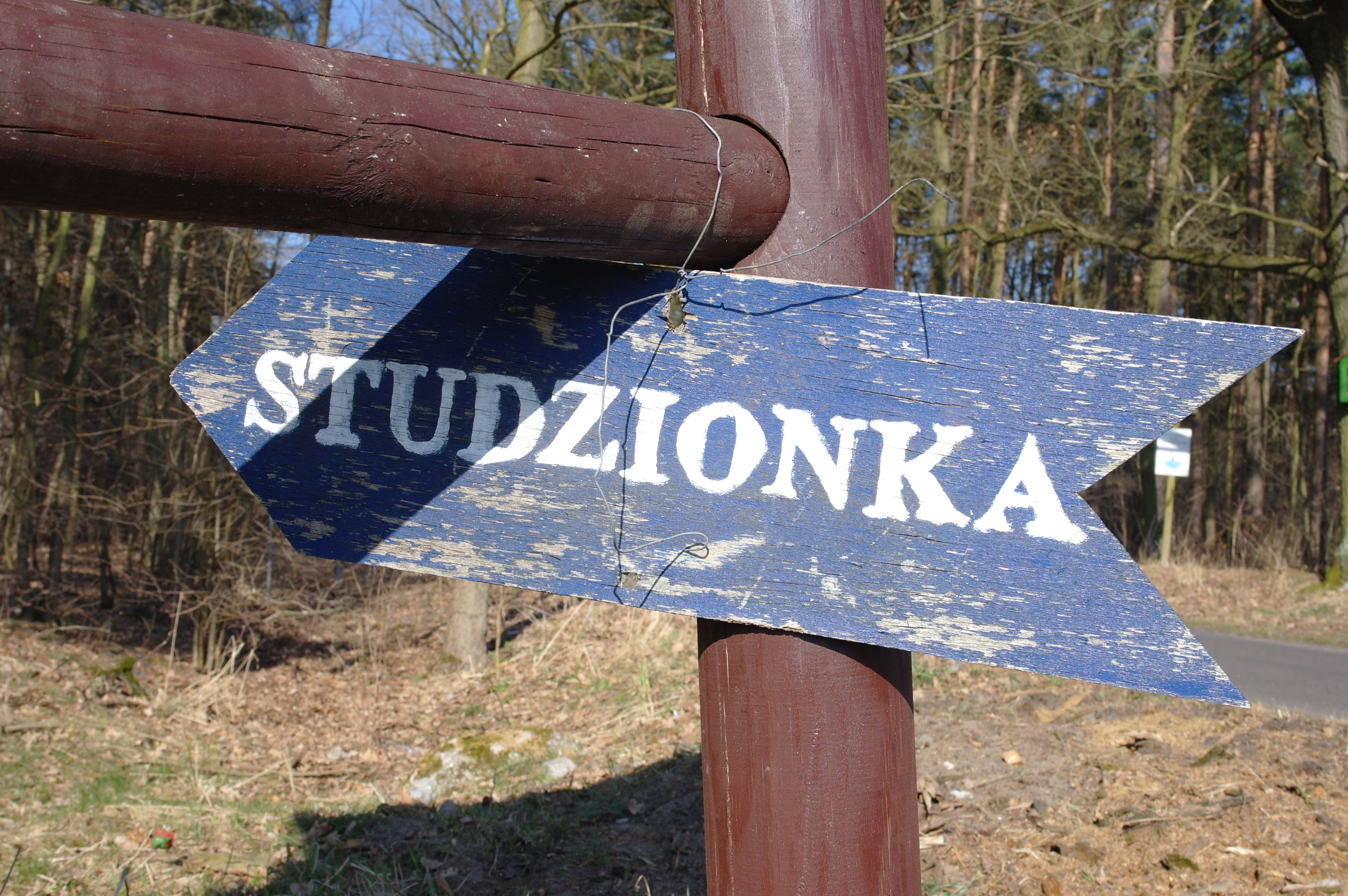 Dąbrówka Łubniańska- kierunek Studzionka
