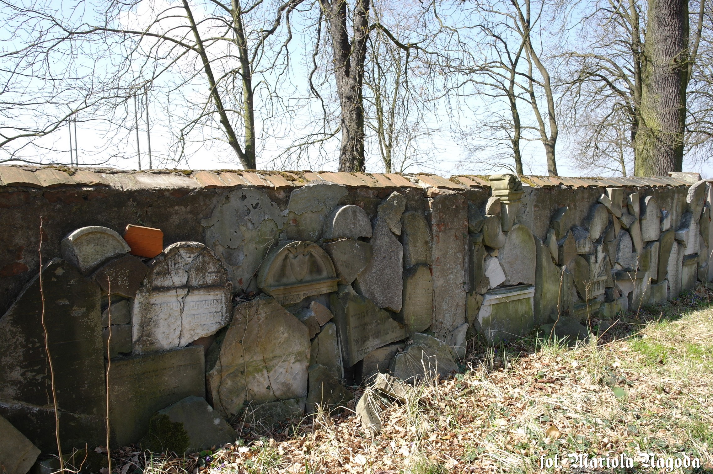 dobrodzien-cmentarz-zydowski-lapidarium